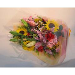 �����������ä���«