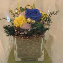 �ץꥶ���֥ɥե�