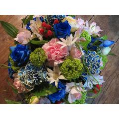 �u���J�[�l�[�V�����̃e���{�E���A�����W5500