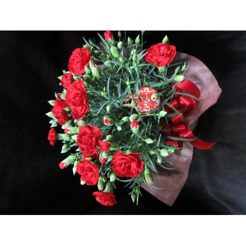 ����ς��̓��͐ԃJ�[�l�[�V�����o�X�P�b�g�t��4