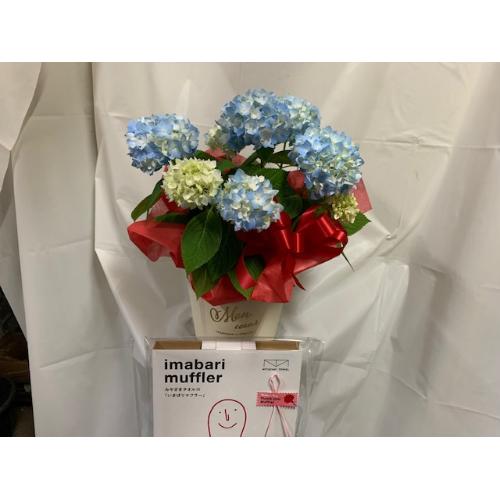 �W���u���[�A�W�T�C�o�X�P�b�g�t��&�����^�I���}�t���[