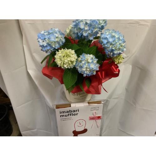 �W���u���[�A�W�T�C�o�X�P�b�g�t��&�����^�I���}�t���[3