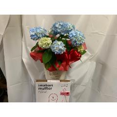 �W���u���[�A�W�T�C�o�X�P�b�g�t��&�����^�I���}�t���[