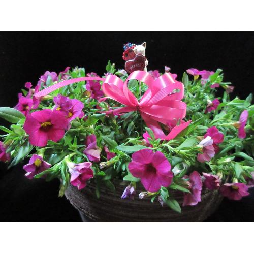 �K�[�f�j���O�D���ȑ��蕨�s���N�J���u���R�A�R���|�[�g�A��3