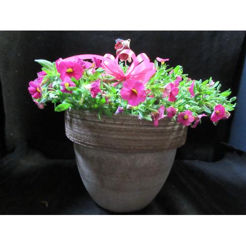 �K�[�f�j���O�D���ȑ��蕨�s���N�J���u���R�A�R���|�[�g�A��4