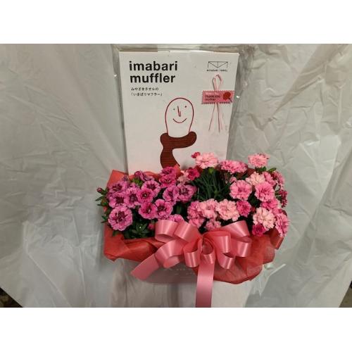 �J�[�l�[�V�����c�C���Z�b�g&�����^�I���}�t���[3