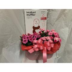 �J�[�l�[�V�����c�C���Z�b�g&�����^�I���}�t���[