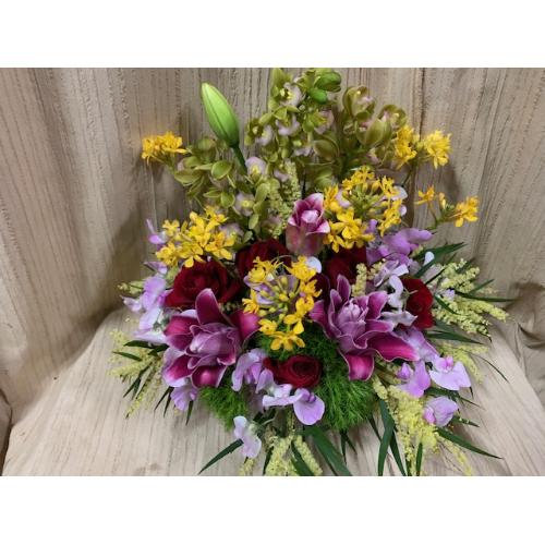 �~�j�V���s�W���[���̃J���t���A�����W�S�T�O�O2