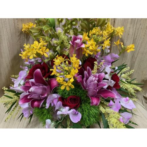 �~�j�V���s�W���[���̃J���t���A�����W�S�T�O�O4