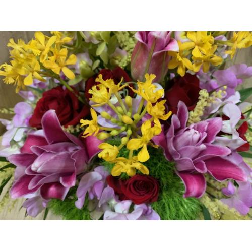 �~�j�V���s�W���[���̃J���t���A�����W�S�T�O�O6