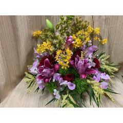 �~�j�V���s�W���[���̃J���t���A�����W�S�T�O�O