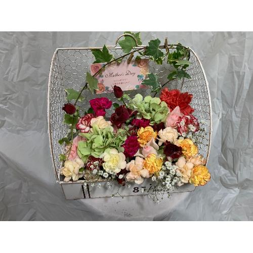 �u���L���X�e�B�b�N�v�����^�[�A�����W3