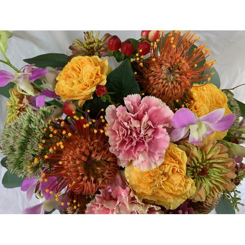 sNbVƋG߂̉Ԃł܂Ƃ߂JtAW^I}t[6