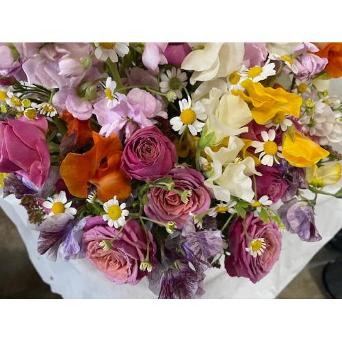 �X�C�[�g�s�[�~�b�N�X�A�����W�����g7