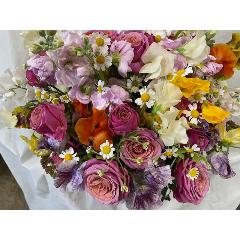 �X�C�[�g�s�[�~�b�N�X�A�����W�����g