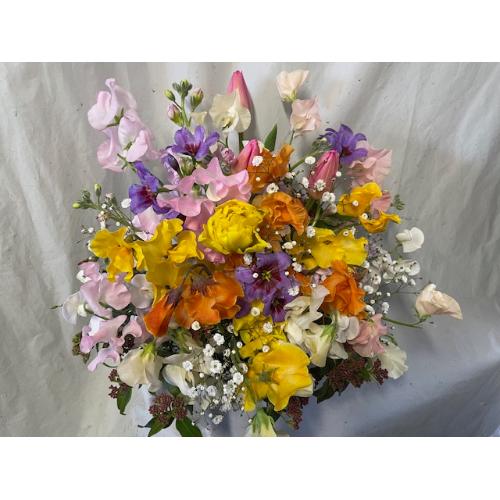 �t�̉Ԃ����ς��A�����W�����g