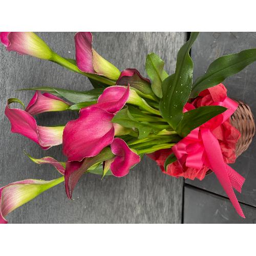 �s���N�J���[�o�X�P�b�g�t��2