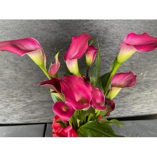 �s���N�J���[�o�X�P�b�g�t��3