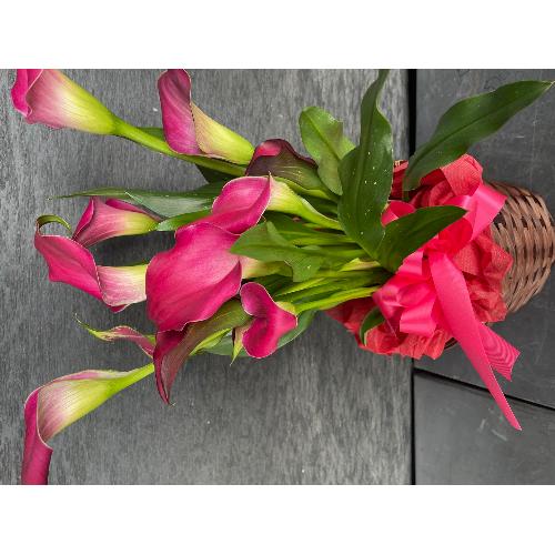 �s���N�J���[�o�X�P�b�g�t��4