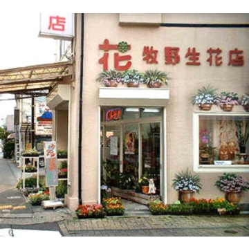 静岡県浜松市 中区の花屋 牧野生花店 をご紹介 フラワーギフトはプロのお花屋さんにおまかせ フジテレビフラワーネット