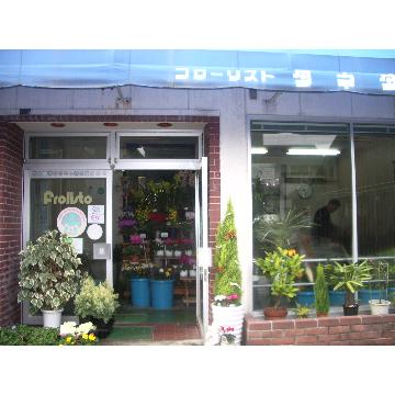 滋賀県長浜市の花屋 種田生花店 をご紹介 フラワーギフトはプロのお花屋さんにおまかせ フジテレビフラワーネット