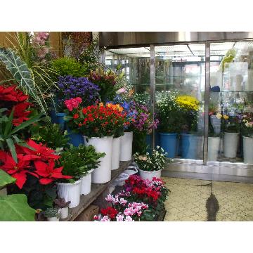 岩手県盛岡市の花屋 花城園 をご紹介 フラワーギフトはプロのお花屋さんにおまかせ フジテレビフラワーネット