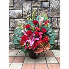 �ҥХ�ߥ����ꥪ��������󥸥��ȡ�1233