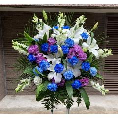 �֥롼�����͡����������ꡡ����͵��ۥ��饦�ɡ����󡦥����������������