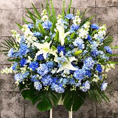 東京都小金井市の花屋 株 梶原 をご紹介 フラワーギフトはプロのお花屋さんにおまかせ フジテレビフラワーネット 東京都小金井市の花屋 株 梶原 をご紹介 フラワーギフトはプロのお花屋さんにおまかせ フジテレビフラワーネット