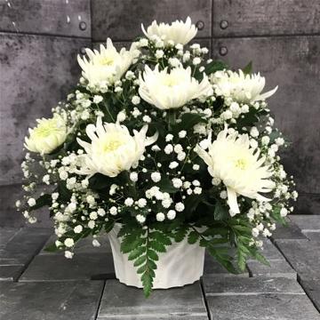 【供花】菊のアレンジメントW(H26)