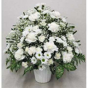【供花】カーネーションとカスミソウアレンジW(H60)
