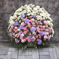 ڶ֡ۥե󥸥PP (H75)