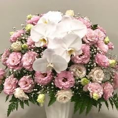 ڶ֡۸ĳPȥ륳祦Υ󥸡H50