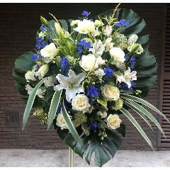 東京都小金井市の花屋 株 梶原 をご紹介 フラワーギフトはプロのお花屋さんにおまかせ フジテレビフラワーネット 東京都小金井市の花屋 株 梶原 をご紹介 フラワーギフトはプロのお花屋さんにおまかせ フジテレビフラワーネット