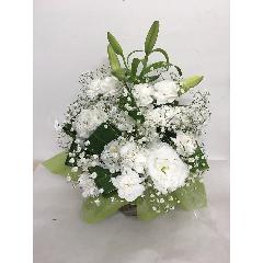 ꥢ륢󥸥ȡå롡1531