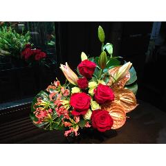 �ҥХ�ߥ����ꥪ�����Х����åȥ���󥸡�3021