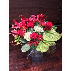 R�Х�ߥ����ꥪ����������󥸡�3110