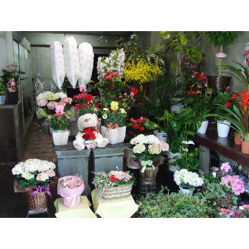 東京都小金井市の花屋 株 梶原 をご紹介 フラワーギフトはプロのお花屋さんにおまかせ フジテレビフラワーネット