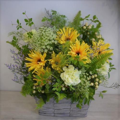 ���F�K�[�x���̃O���[���n�A�����W2