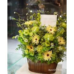 ���F�K�[�x���̃O���[���n�A�����W