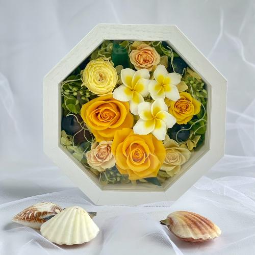 vU[uht[ Ln[@CG[vApt[iI[_[PTԌ[)