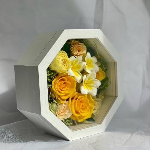 vU[uht[ Ln[@CG[vApt[iI[_[PTԌ[)2