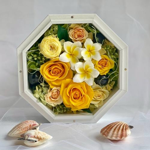 vU[uht[ Ln[@CG[vApt[iI[_[PTԌ[)3