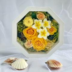 vU[uht[ Ln[@CG[vApt[iI[_[PTԌ[)