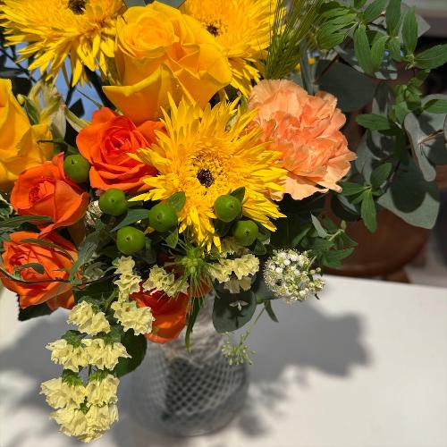 �C�G���[�n�X�^���f�B���O�u�[�P3