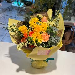 �C�G���[�n�X�^���f�B���O�u�[�P