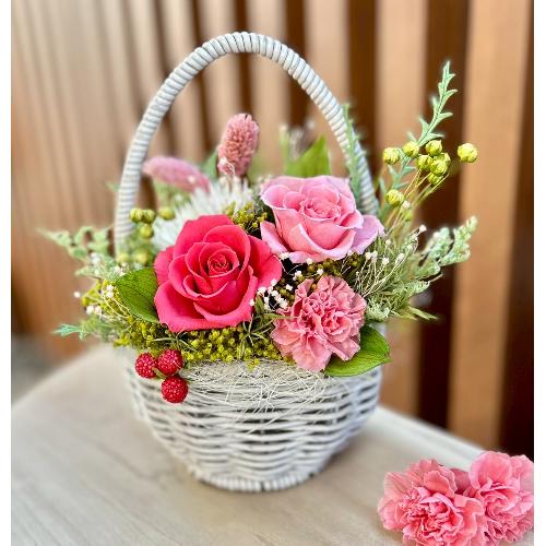 �v���U�[�u�h�t�����[ �G�b�O