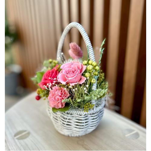 �v���U�[�u�h�t�����[ �G�b�O2