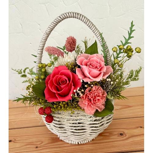 �v���U�[�u�h�t�����[ �G�b�O6