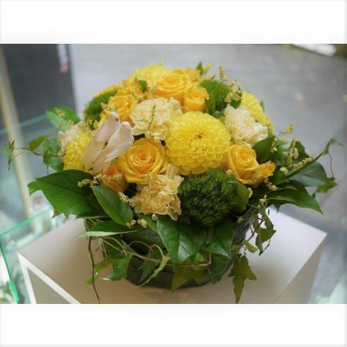 ���[�t�x�[�X�A�����W�����g